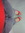 Depoy | 30 comments