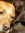 Laura K | 129 comments