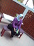 Asri Pratiwi