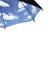 Banu Pluie