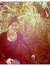 Katelyn