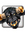 Ralffie | 23 comments