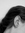 Regan | 19 comments