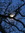 Melanti | 19 comments