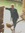 J.g. Goodhind | 15 comments