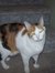 Amy