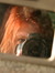 Sue Baiman