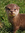 Amy (AmesCat) | 276 comments