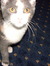 Tonks