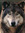 Caleb Blake (Caleb72) | 387 comments