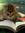Ella (ellarosewood) | 223 comments