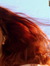 Redheadedgirl