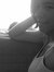 Ana Silvestre
