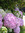 Terri | 36 comments