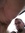 Joe
