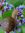 Snail in Danger (Sid) Nicolaides (upsight) | 105 comments