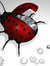 Noorie256