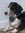 Carl | 224 comments