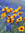 Diana S | 59 comments