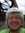 Kathy Hale
