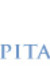 The Capital Institute