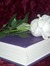 Reading Haven