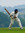 Tej (TheyCallMeMrGlass) | 1154 comments