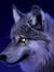 Silverwolf