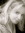 Carole Lanham