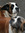 Cheryl (cmwilson101) | 2 comments