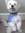 Dottie
