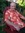 Jack Erickson (goodreadscomjack_erickson) | 1 comments