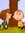 Patt