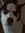 Ronald (rcraft)