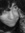 Regan (peanup) | 27 comments