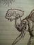 Nihal