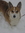 Sallie(Shuga) (Shuga) | 448 comments