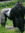 Christian (theGorrilla1) | 83 comments