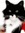 Mr Puddy