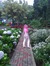 Dinda