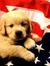 Starr