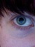 Pollie