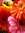 Jenny | 109 comments