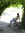 Leonor | 50 comments