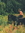 Barnyard ISF (BarnyardISF) | 120 comments