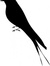 V (bookborne)