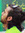 Amir Samadi rad (amirsamadirad) | 211 comments