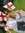 Susan | 772 comments