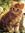 blissy1343