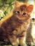 blissy1343
